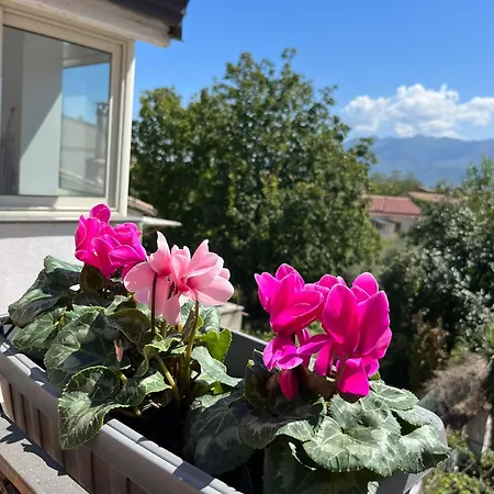 Nonna Maria Apartment *